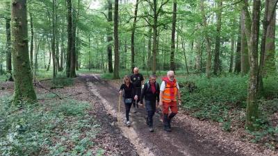 26/05/2024 Miermaigne