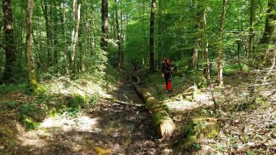 26/05/2024 Miermaigne