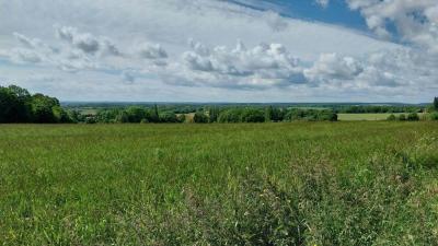 26/05/2024 Miermaigne