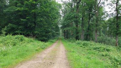 02/06/2024 Monceaux au Perche