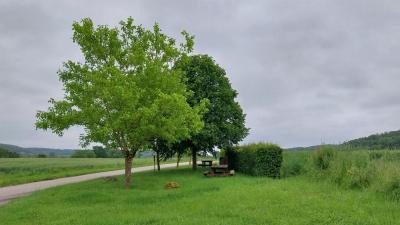 02/06/2024 Monceaux au Perche