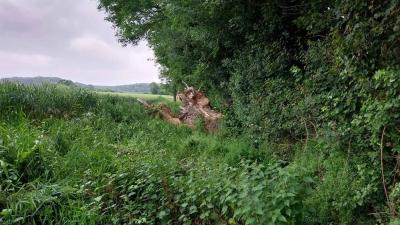 02/06/2024 Monceaux au Perche