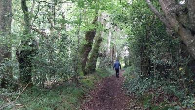 02/06/2024 Monceaux au Perche