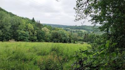 02/06/2024 Monceaux au Perche