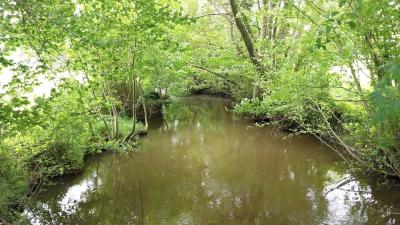 02/06/2024 Monceaux au Perche