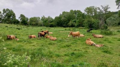 20-06-2024 Stevenson étape 1