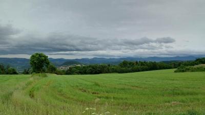 20-06-2024 Stevenson étape 1