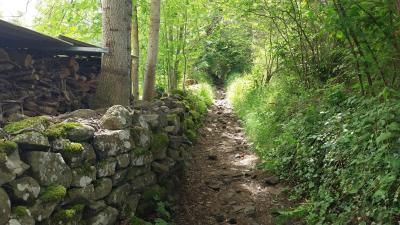 20-06-2024 Stevenson étape 1