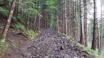 21-06-2024 Stevenson étape 2