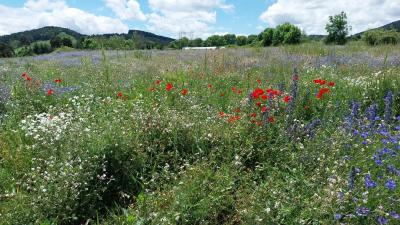 21-06-2024 Stevenson étape 2