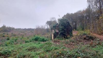 10/11/2024 Rémalard