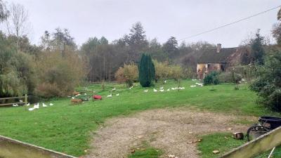 10/11/2024 Rémalard