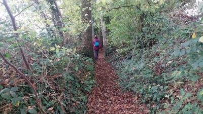 10/11/2024 Rémalard