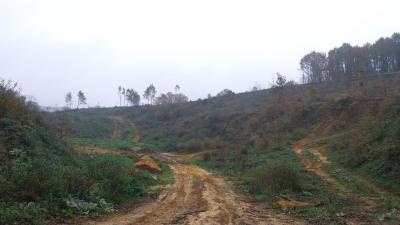 17/11/2024 Bretoncelles