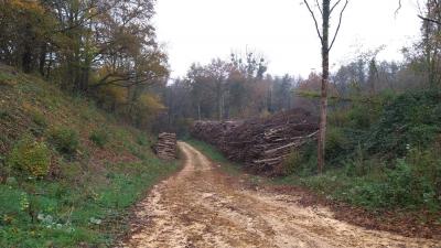 17/11/2024 Bretoncelles