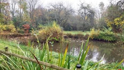 17/11/2024 Bretoncelles