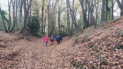 17/11/2024 Bretoncelles