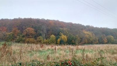 17/11/2024 Bretoncelles