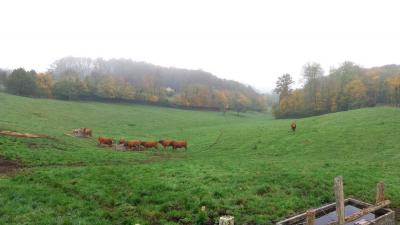 17/11/2024 Bretoncelles