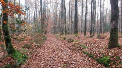 17/11/2024 Bretoncelles