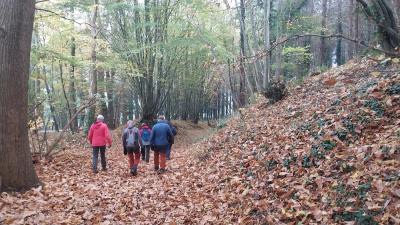 17/11/2024 Bretoncelles