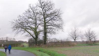 08/12/2024 Neuilly sur Eure