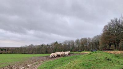 08/12/2024 Neuilly sur Eure