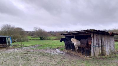 08/12/2024 Neuilly sur Eure