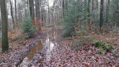 08/12/2024 Neuilly sur Eure