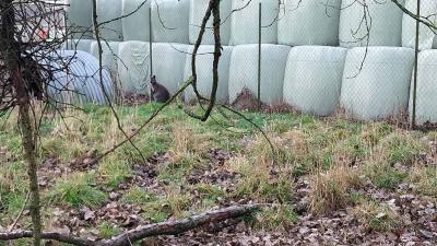 15/12/2024 St Germain des Grois