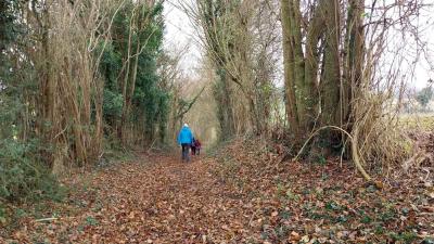 15/12/2024 St Germain des Grois