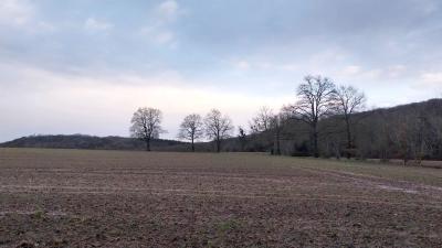 22/12/2024 La Chapelle Montligeon