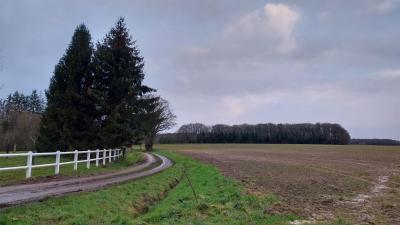 22/12/2024 La Chapelle Montligeon