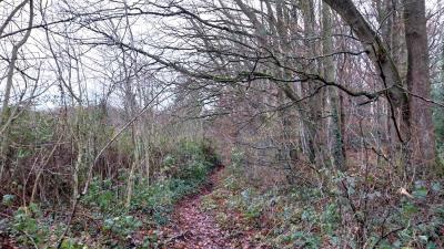 22/12/2024 La Chapelle Montligeon