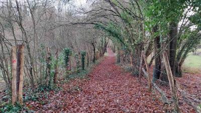 22/12/2024 La Chapelle Montligeon