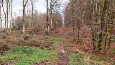 22/12/2024 La Chapelle Montligeon