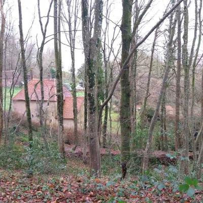 22/12/2024 La Chapelle Montligeon