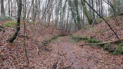 22/12/2024 La Chapelle Montligeon