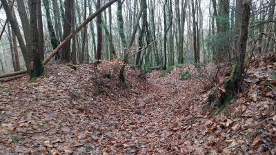 22/12/2024 La Chapelle Montligeon