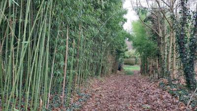 22/12/2024 La Chapelle Montligeon