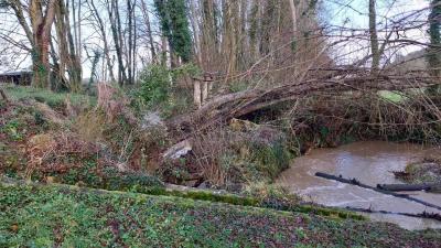 22/12/2024 La Chapelle Montligeon