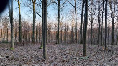 02-02-2025 Verrières