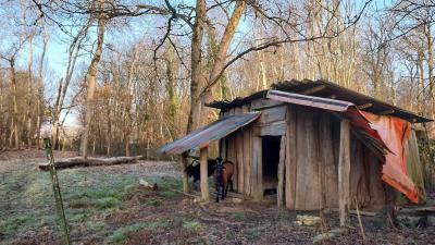 02/03/2025 Les Ressuintes