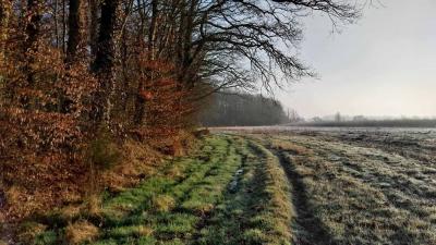 02/03/2025 Les Ressuintes