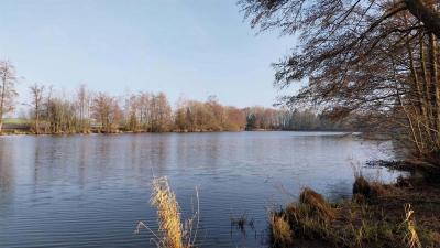 02/03/2025 Les Ressuintes