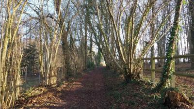 02/03/2025 Les Ressuintes