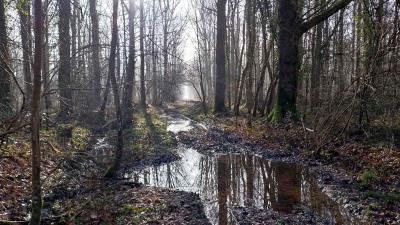 02/03/2025 Les Ressuintes