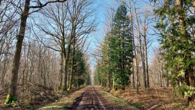 02/03/2025 Les Ressuintes