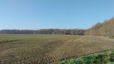 02/03/2025 Les Ressuintes