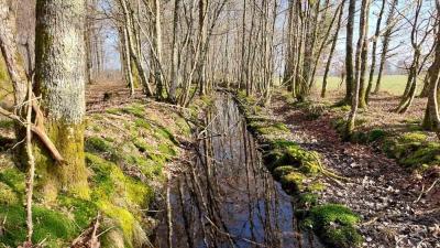 02/03/2025 Les Ressuintes